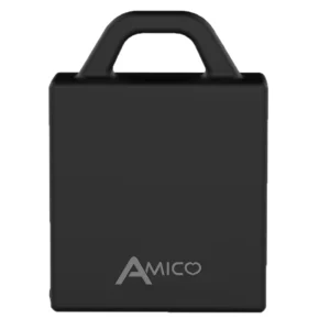 Ambrogio Amico – Bild 2